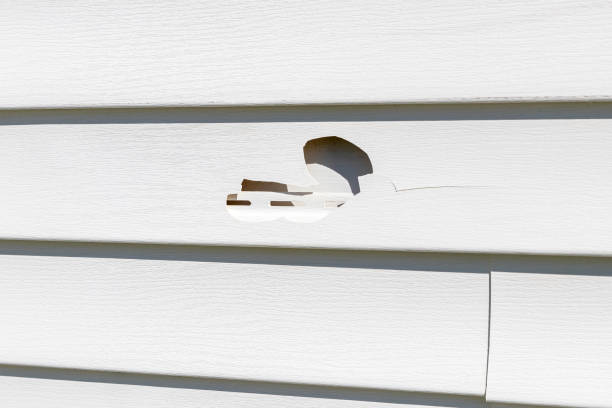 Best Shed Removal  in Elkhorn, CA